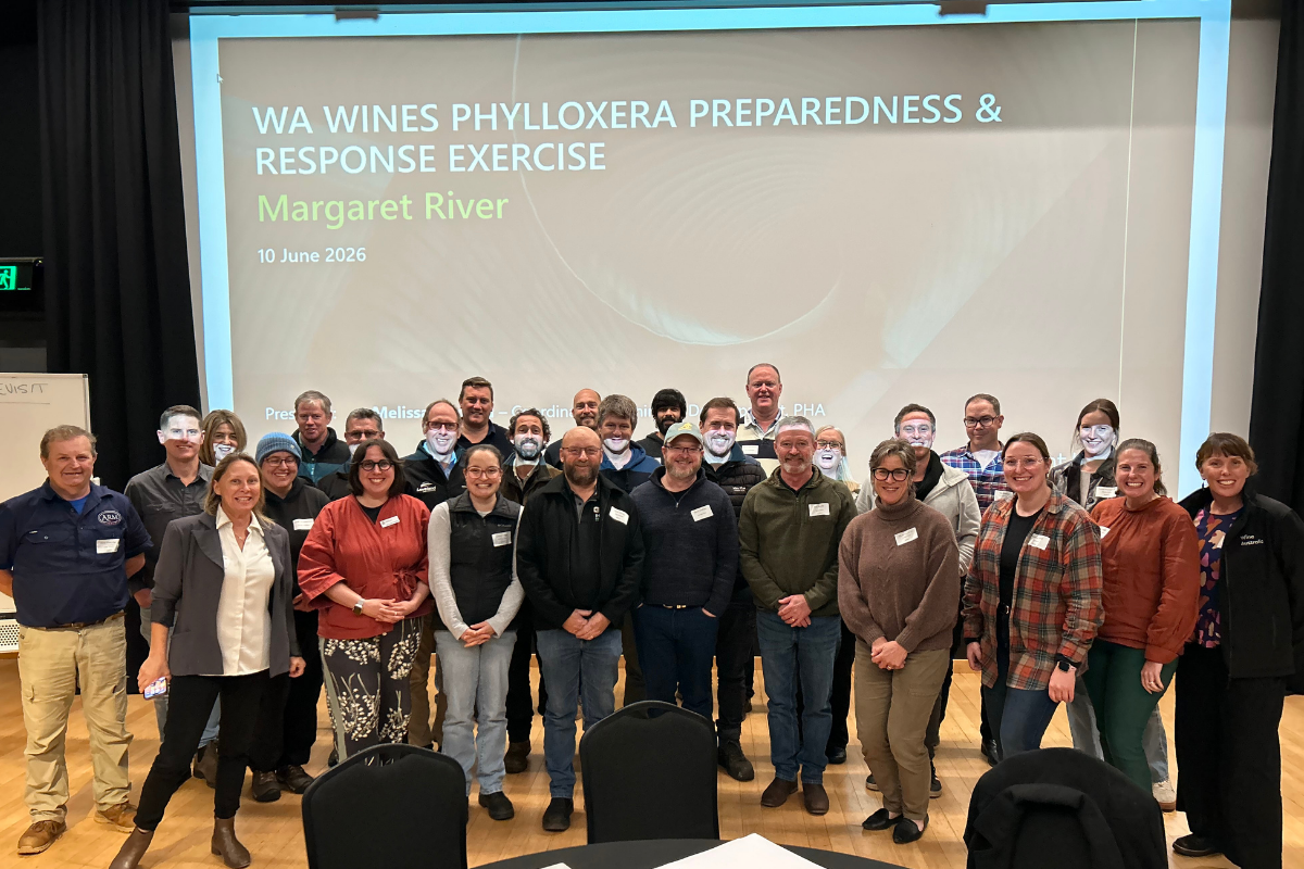 Phylloxera exercise highlights the value of preparedness image