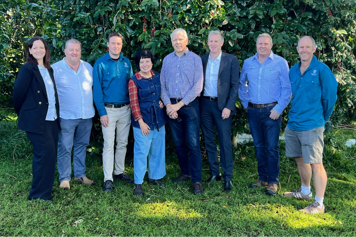 Brewing stronger biosecurity for coffee growers image