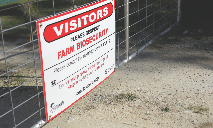 How to protect your property boundaries image