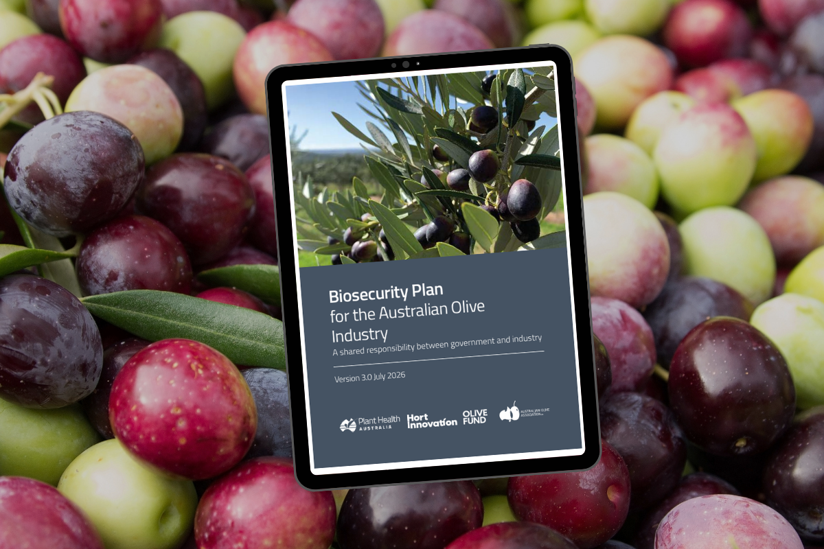 New Biosecurity Plan for the Olive industry image