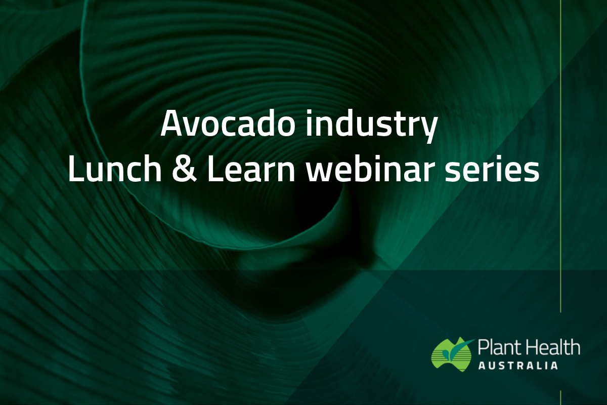 Avocado webinars build biosecurity awareness image