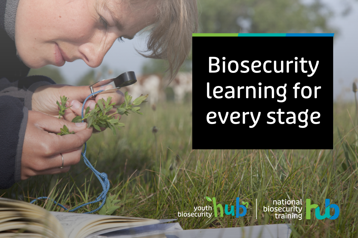 Biosecurity training hubs continue to support capability image
